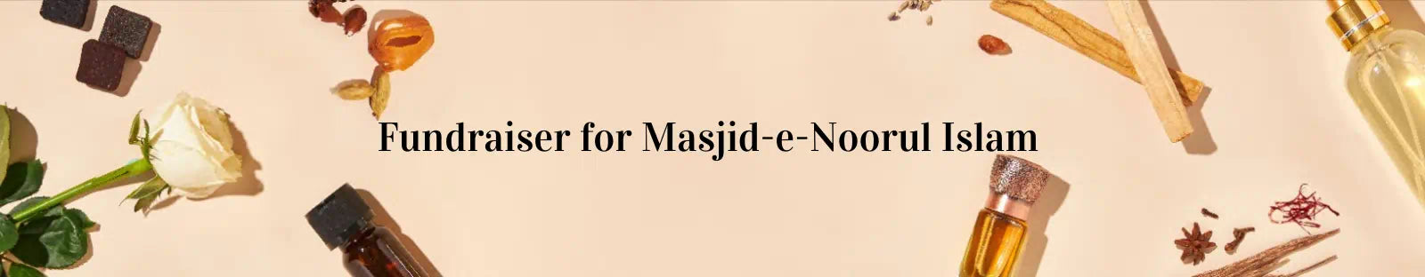 Fundraiser for Masjid-e-Noorul Islam